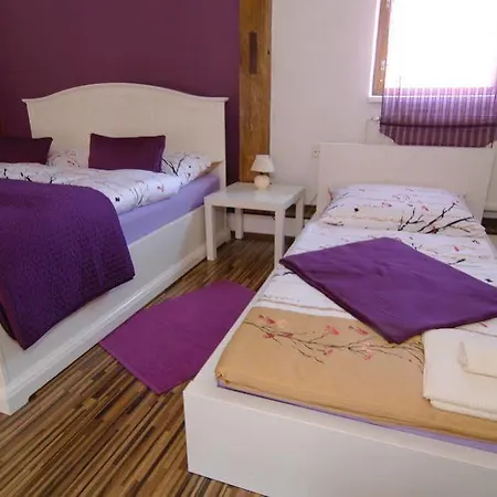 Penzion Fontana Pizzeria - Ceske Budejovice