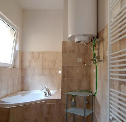 招待所 丰塔纳比萨里亚裴森酒店 捷克布杰约维采