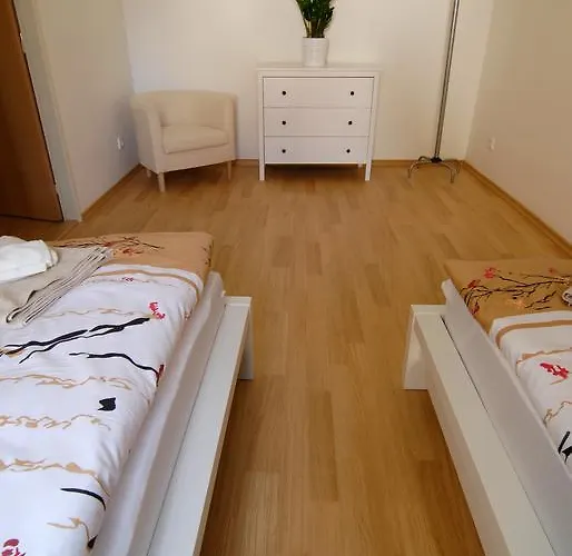 丰塔纳比萨里亚裴森酒店 3* 捷克布杰约维采