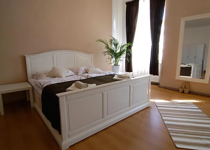 丰塔纳比萨里亚裴森酒店 3* 捷克布杰约维采