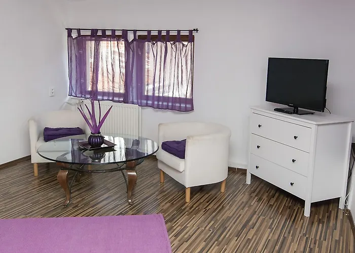 게스트하우스 폰타나 피자리아 - 3*