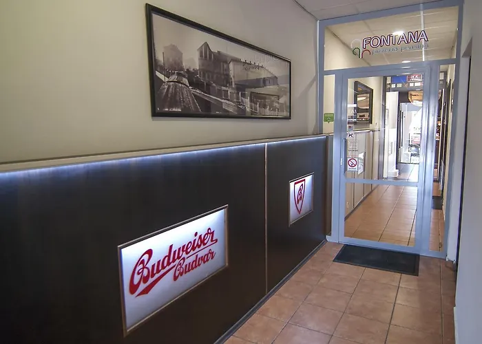 丰塔纳比萨里亚裴森酒店 招待所