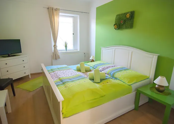 招待所 丰塔纳比萨里亚裴森酒店 捷克布杰约维采