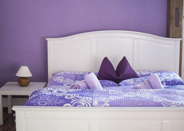 丰塔纳比萨里亚裴森酒店 3* 捷克布杰约维采