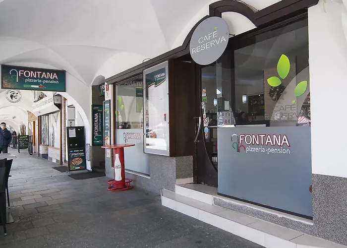 招待所 丰塔纳比萨里亚裴森酒店 捷克布杰约维采