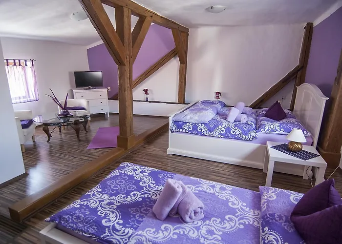 丰塔纳比萨里亚裴森酒店 3*