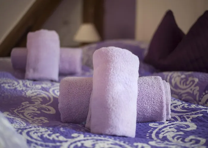 丰塔纳比萨里亚裴森酒店 招待所 3*