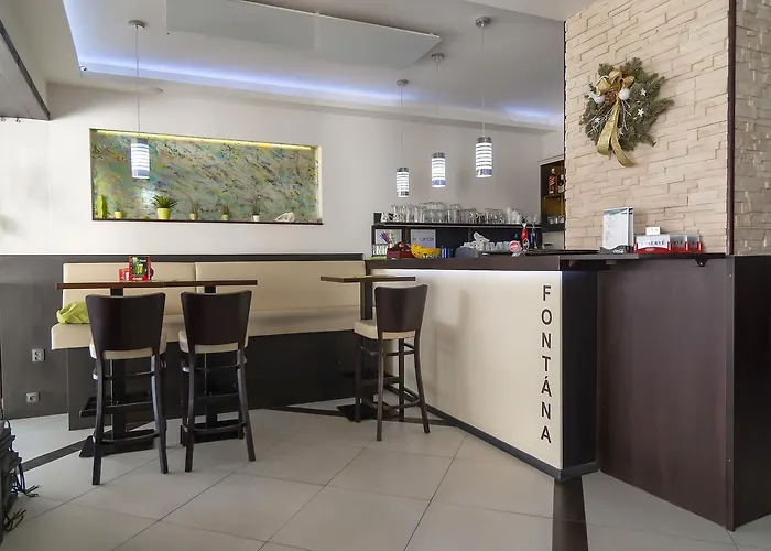 丰塔纳比萨里亚裴森酒店 招待所 捷克布杰约维采