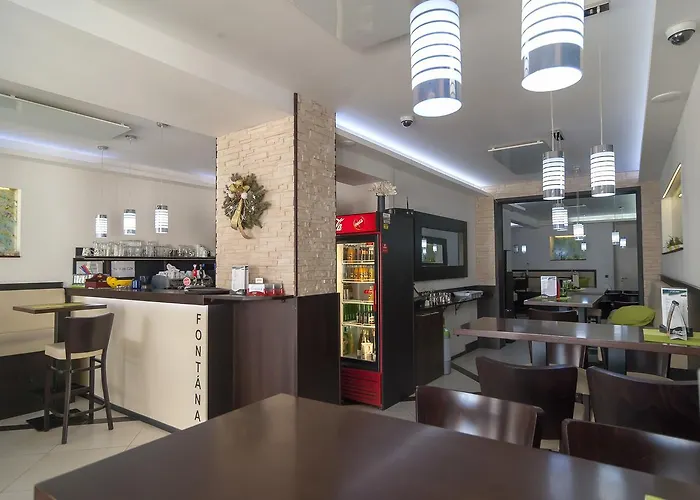 丰塔纳比萨里亚裴森酒店 3* 捷克布杰约维采