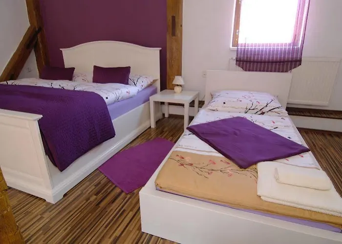 게스트하우스 폰타나 피자리아 - 체스케부데요비체