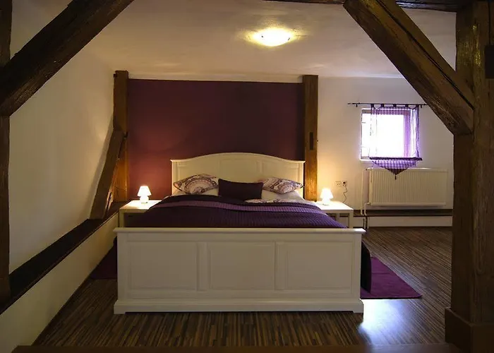 丰塔纳比萨里亚裴森酒店 3* 捷克布杰约维采